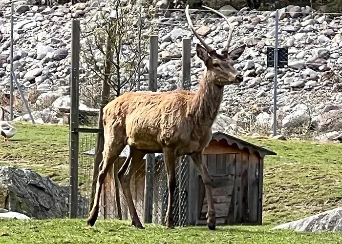 Chalet Erika: Che Vista!